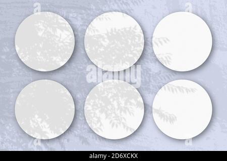 La lumière naturelle projette des ombres d'un planton 6 rond exotique feuilles de papier blanc texturé Banque D'Images