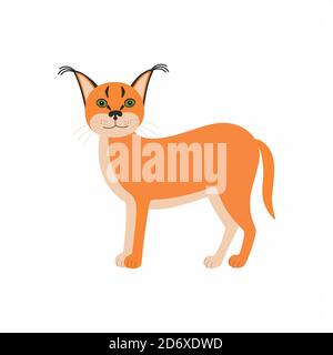 Animaux mignons caracal. Chat sauvage de dessin animé isolé sur fond blanc. Illustration de Vecteur