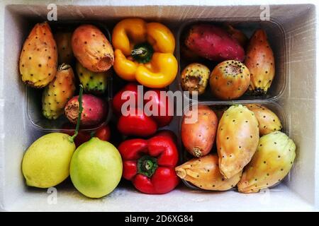 Fruits et légumes frais colorés : poires piquantes, figues de cactus d'opuntia, cloches et citrons de poivron jaune et rouge Banque D'Images