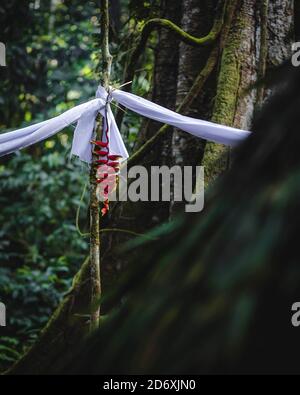 Temazcal, Amazonie, Equateur Banque D'Images