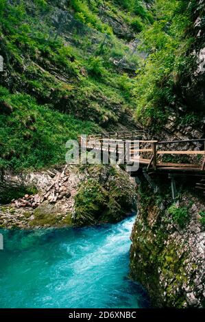 Gorge de Vintgar, beauté de la nature, rivière de montagne Radovna qui coule à travers elle, près de Bled, Slovénie Banque D'Images