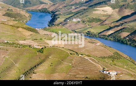 Vue sur la vallée du Douro près de Peso da Regua depuis Miradouro de S Leonardo em Galafura. La vallée du Douro. C'est le vin qui grandit Banque D'Images