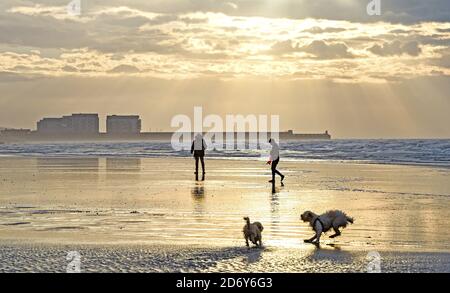 Brighton UK 20 octobre 2020 - Walkers sur la plage de Brighton Profitez de la brise mais de la lumière du matin à marée basse. Des conditions humides et venteuses sont prévues pour les prochains jours dans toute la Grande-Bretagne comme Storm Barbara approche de l'Europe : crédit Simon Dack / Alamy Live News Banque D'Images