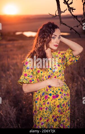 jeune femme enceinte portrait à l'été coucher de soleil prairie Banque D'Images