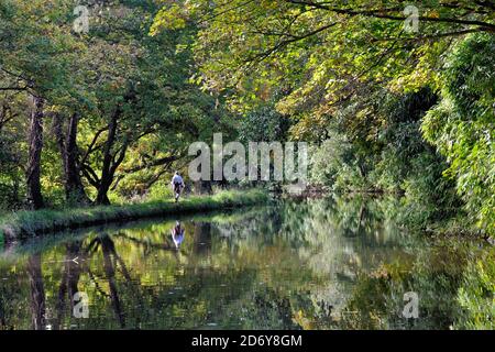 Une seule femme marchant sur le chemin de halage sur le canal de navigation de la rivière Wey lors d'une journée automnale ensoleillée, Byfleet Surrey, Angleterre, Royaume-Uni Banque D'Images