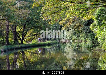 Une seule femme marchant sur le chemin de halage sur le canal de navigation de la rivière Wey lors d'une journée automnale ensoleillée, Byfleet Surrey, Angleterre, Royaume-Uni Banque D'Images