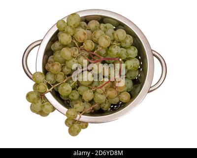 Bouquet de raisins verts dans une passoire en métal sur fond blanc isolé. Vue de dessus. Banque D'Images