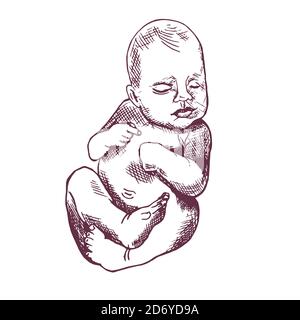 Bebe Chien Dessine A La Main Croquis Dessin De Contour Noir Et Blanc Illustration Photo Stock Alamy