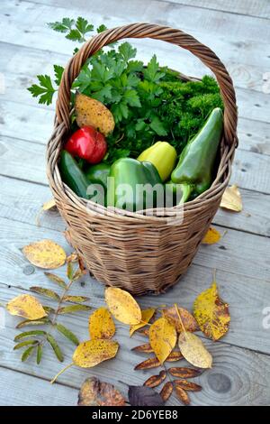 Gros plan de légumes dans un panier en osier. Les feuilles tombées en automne sont dispersées. Récolte de tomates, poivrons, persil et herbes. Agricole Banque D'Images