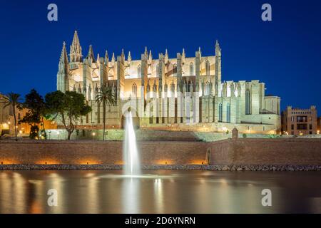 Cathédrale et fontaine de Palma illuminées le soir, Palma, Majorque, Espagne. Banque D'Images