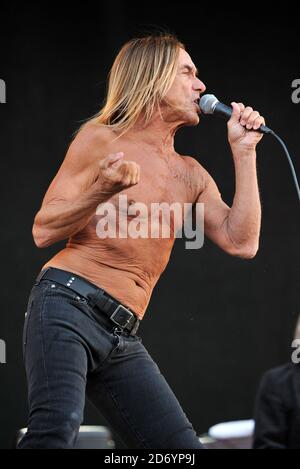 Iggy Pop se présentant au Festival de l'île de Wight, au parc Seaclose de Newport. Banque D'Images