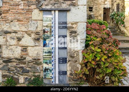 France, Maine et Loire, Vallée de la Loire classée au patrimoine mondial par l'UNESCO, Ile de Behuard, Behuard, haute mer // France, Maine-et-Loire (49), Val Banque D'Images