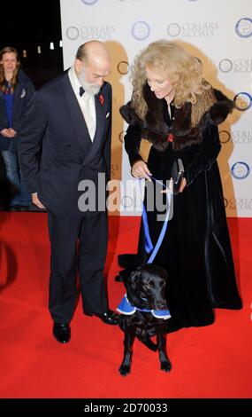 Le prince et la princesse Michael de Kent arrivent au Battersea Dogs & Cats Home collets and Coats ball, à Battersea Evolution, dans le sud de Londres. Banque D'Images