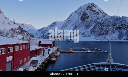 Øksfjord, Norvège - 03/02/2019: Navire de croisière Hurtigruten MS Trollfjord situé à l'ancre sur le port d'Øksfjord dans la mer arctique en hiver. Banque D'Images