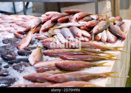 Vue générale des différentes variétés de poissons en vente au marché aux poissons de Billingsgate, dans l'est de Londres. Banque D'Images