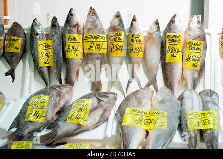 Vue générale des différentes variétés de poissons en vente au marché aux poissons de Billingsgate, dans l'est de Londres. Banque D'Images