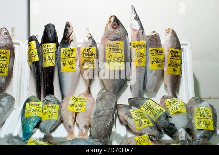 Vue générale des différentes variétés de poissons en vente au marché aux poissons de Billingsgate, dans l'est de Londres. Banque D'Images