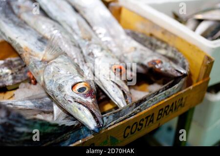 Vue générale des différentes variétés de poissons en vente au marché aux poissons de Billingsgate, dans l'est de Londres. Banque D'Images