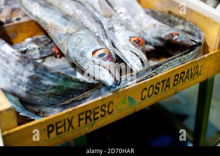 Vue générale des différentes variétés de poissons en vente au marché aux poissons de Billingsgate, dans l'est de Londres. Banque D'Images