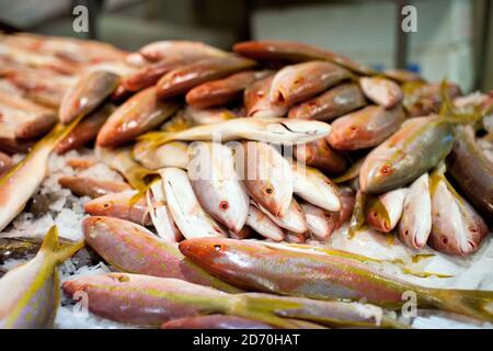 Vue générale des différentes variétés de poissons en vente au marché aux poissons de Billingsgate, dans l'est de Londres. Banque D'Images