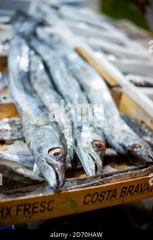 Vue générale des différentes variétés de poissons en vente au marché aux poissons de Billingsgate, dans l'est de Londres. Banque D'Images