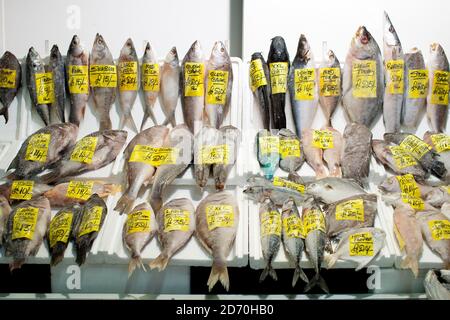 Vue générale des différentes variétés de poissons en vente au marché aux poissons de Billingsgate, dans l'est de Londres. Banque D'Images