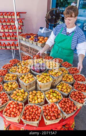 Florida Turnpike fort Drum Rest Stop, exposition de produits locaux vente petits paniers de tomates cerises, femme vente, Banque D'Images