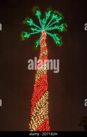 Miami Floride, Noël décoration décorations hiver vacances, lumières éclairage palmier, Banque D'Images