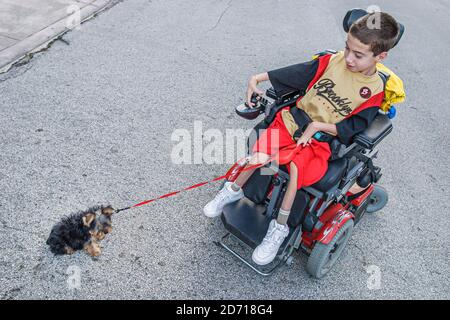 Miami Florida, Coral Gables, handicapés garçon chien laisse fauteuil roulant électrique, Banque D'Images