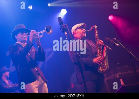 La baisse de FAT Freddy se déroulant au festival Womad, à Charlton Park, dans le Wiltshire. Banque D'Images