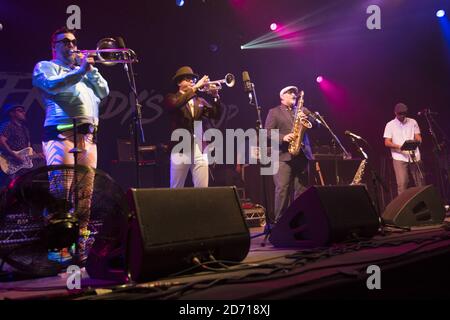 La baisse de FAT Freddy se déroulant au festival Womad, à Charlton Park, dans le Wiltshire. Banque D'Images