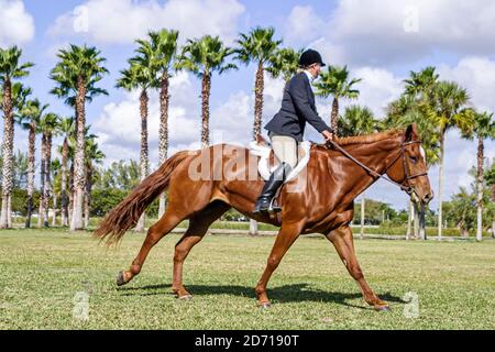 Miami Florida, Tropical Park, Heritage Horse Show, femme pilote en compétition, Banque D'Images