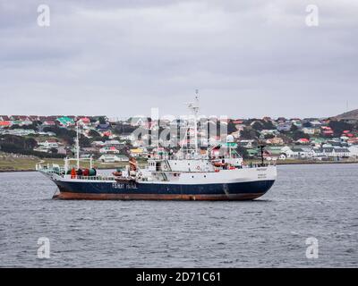 Vue du port vers la ville, navire de patrouille de pêche MS Portegat des îles Falkland. Stanley, capitale des îles Falkland. Amérique du Sud Banque D'Images