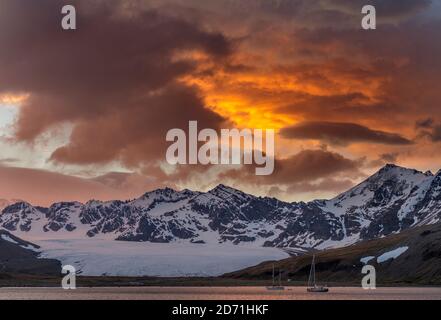 St Andres Bay sur la Géorgie du Sud pendant le coucher du soleil. Sur la côte se trouve une immense colonie de Penguins du roi (Aptenodytes Patagonicus) Antarctique, Subantarctica, Sou Banque D'Images