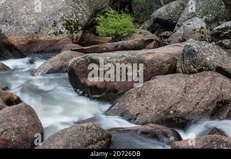 Thompson River, Thompson Canyon, Rocky Mountain NP, Colorado, États-Unis, par Bruce montagne/Dembinsky photo Assoc Banque D'Images