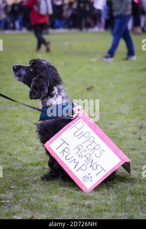 Les manifestants se rassemblent devant l'ambassade américaine de Grosvenor Square lors de la Marche des femmes à Londres, où les manifestants ont défilé pour promouvoir les droits des femmes à la suite du résultat des élections américaines. Date de la photo: Samedi 21 janvier 2017. Le crédit photo devrait se lire: Matt Crossick/ EMPICS Entertainment. Banque D'Images