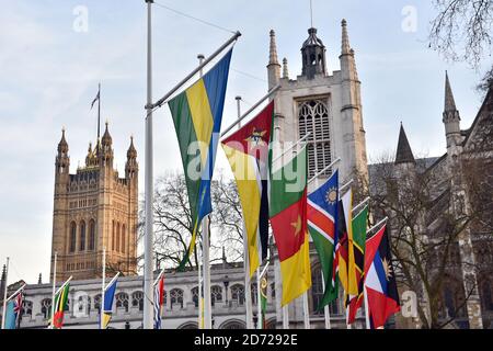 Vue générale des drapeaux exposés sur la place du Parlement à Londres. Date de la photo: Lundi 13 mars 2017. Le crédit photo devrait se lire: Matt Crossick/ EMPICS Entertainment. Banque D'Images