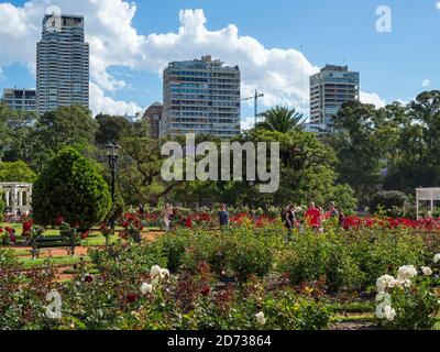 Parc Bosques de Palerme dans le quartier de Palerme, la roseraie (El Rosedal de Palermo). Buenos Aires, la capitale de l'Argentine. Amérique du Sud, Argentine Banque D'Images