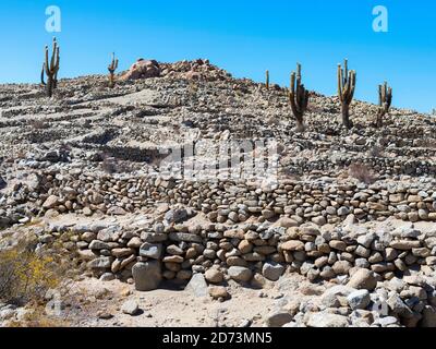 Ruines Inca de Tasil, Routa 51 près de Salta. TASTIL fait partie de l'ancien réseau routier Inca. Amérique du Sud, Argentine Banque D'Images