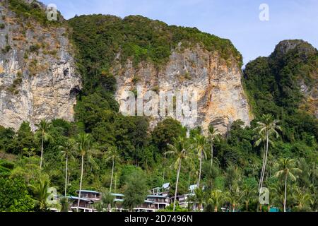 grandes montagnes vertes avec arbres Banque D'Images