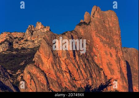 Les majestueux Mallos de Riglos, une passerelle naturelle spectaculaire vers les Pyrénées, brillent orange-rouge dans la lumière du soleil du soir dans la province de Huesca, Aragon, Espagne. Los Mallos (les maillets) s'est formé il y a au moins 20 millions d'années, lorsque les matériaux délavés des pentes pyrénéennes se sont compactés avec du calcaire pour former des roches conglomérées. Les «maillets» distinctifs, sculptés par l'érosion, sont une frontière physique entre les contreforts pyrénéens et le bassin de l'Ebre, qui s'élève à environ 300 m (980 pi). Au XIe siècle, la région de Mallos fut brièvement un royaume indépendant après que Pedro, roi d'Aragon, l'eut donné comme une dot. Banque D'Images