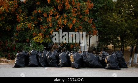 Sacs à ordures empilés sur le bord de la route, concept de pollution humaine, concept de préoccupations environnementales Banque D'Images