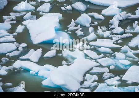 Icebergs de Grey Glacier (Glaciar Gray), parc national Torres del Paine, Patagonie, Chili Banque D'Images