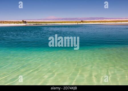 Laguna Cejar (ou lagon flottant du lac salé), désert d'Atacama, Chili du Nord Banque D'Images