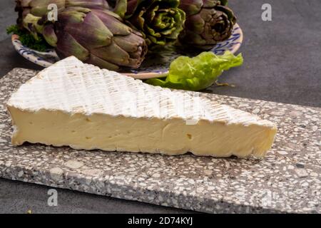 Collection de fromages, fromage français brie de Meaux de la région Seine-et-Marne avec moule blanc en gros plan Banque D'Images