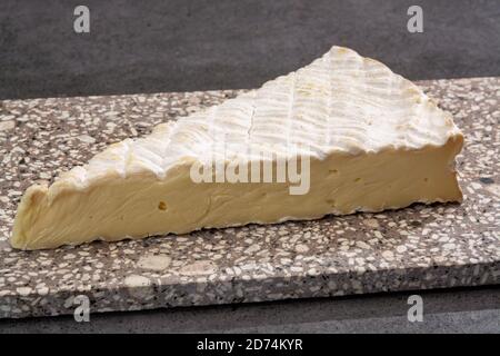 Collection de fromages, fromage français brie de Meaux de la région Seine-et-Marne avec moule blanc en gros plan Banque D'Images