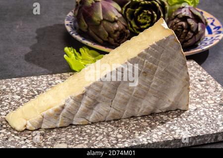 Collection de fromages, fromage français brie de Meaux de la région Seine-et-Marne avec moule blanc en gros plan Banque D'Images