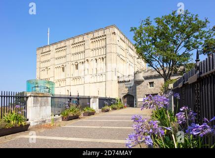 Donjon du château de Norwich abritant le musée et la galerie d'art du château de Norwich Castle Meadow Norwich Norfolk East Anglia Angleterre GB Europe Banque D'Images
