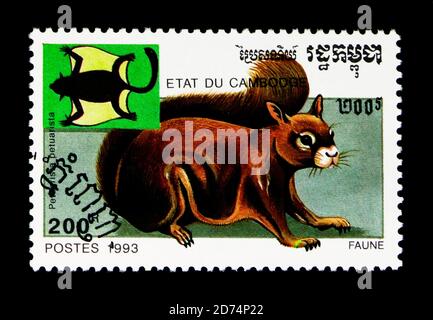 MOSCOU, RUSSIE - 24 NOVEMBRE 2017 : un timbre imprimé au Cambodge montre le Red Giant Flying Squirrel (Peaurista petaurista), série animaux, vers 1993 Banque D'Images