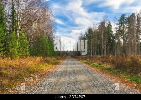 Des rayons du soleil levant tombent sur la route menant à travers la pittoresque forêt automnale. Banque D'Images